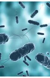 early symptoms of cholera 