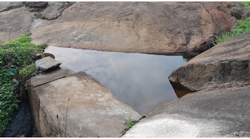 Chulanur Peafowl Sanctuary Trekking Project Super Hit More facilities will be provided Chulanur Peafowl Sanctuary Trekking Project Super Hit More facilities will be provided