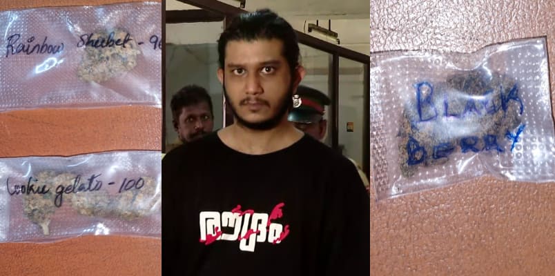 Drug use and hybrid ganja collection youth arrested in kollam with 7 diffrenet types of cannabis 