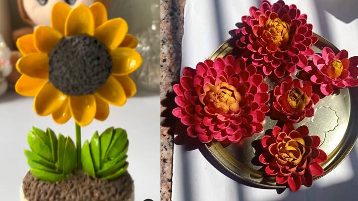 Pista shell home decor ideas