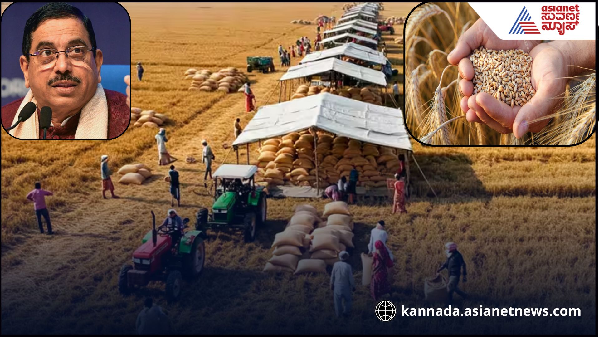 India Buys 256 Lakh Metric Tons of wheat from Farmers sat