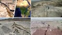 Africa's slow split may shape a new ocean, say scientists studying tectonic rift