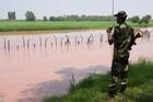 Pahalgam attack: Pakistan vacates terror launch pads off LoC fearing Indian strikes