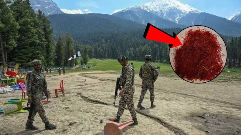 pahalgam attack effect lal masala price surge jaipur kesar price 2 lakh per kg