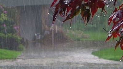 Weather: దూసుకొస్తున్న నైరుతి రుతుప‌వ‌నాలు.. భారీ వర్షాలు.. ఐఎండీ హెచ్చ‌రిక‌లు 