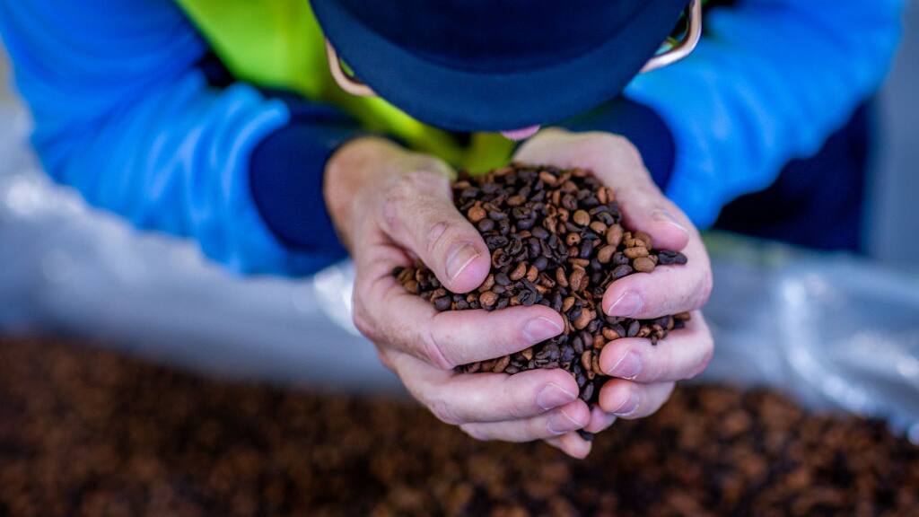 Coffee beans