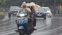 Karnataka Weather, May 12: Humid day with afternoon thunderstorms across major cities