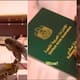 Falcons Luxury Lifestyle Traveling with a Passport