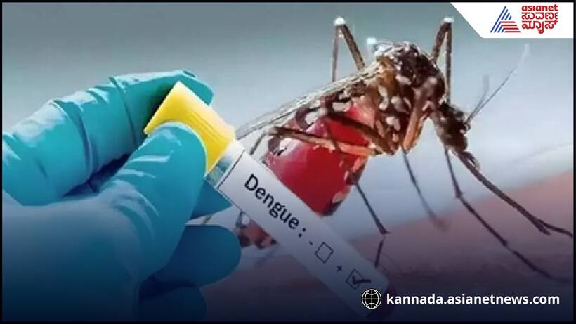 ಬೆಂಗಳೂರಲ್ಲಿ ಮಳೆಯಿಂದಾಗಿ 500ಕ್ಕೂ ಅಧಿಕ ಡೆಂಘೀ ಕೇಸ್‌: ಸಾಂಕ್ರಾಮಿಕ ರೋಗಗಳ ಪ್ರಮಾಣ ಏರಿಕೆ