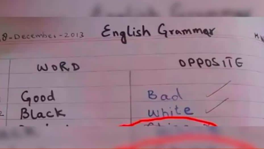 Little Kids Big Insight students answer shocked teacher