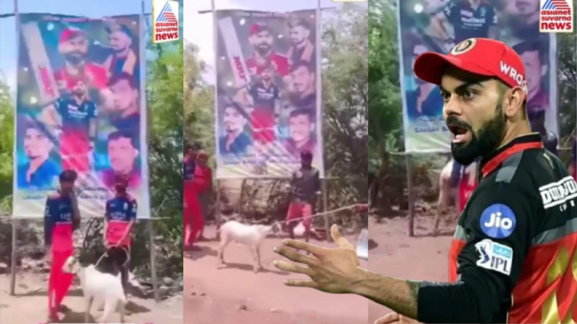 Virat Kohli fans sacrifice goat for RCB win Three arrested from Chitradurga sat
