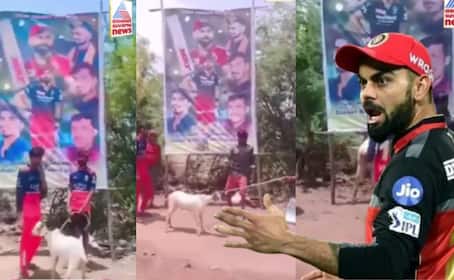 Virat Kohli fans sacrifice goat for RCB win Three arrested from Chitradurga sat