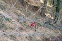 3 civilians killed as Pakistan opens fire after India's Operation Sindoor strikes