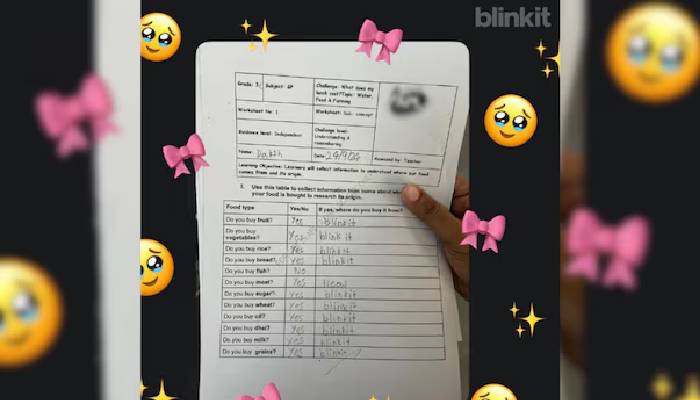 best ad for Blinkit read this nine year old's answers 