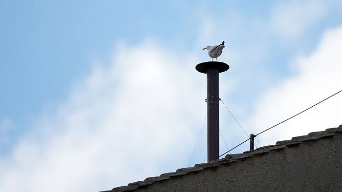 Papal conclave