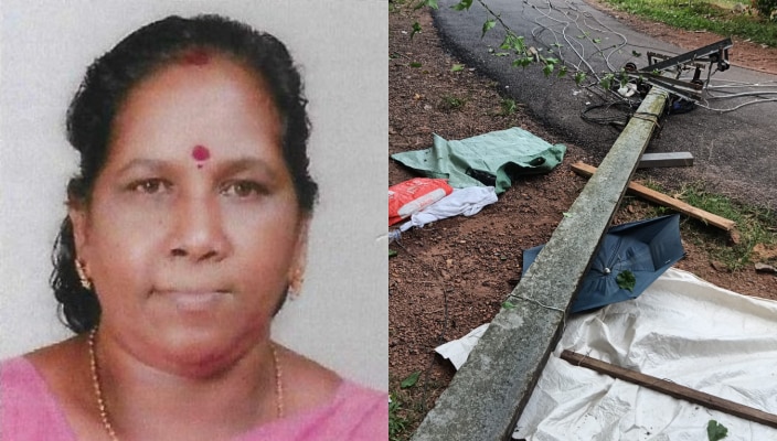 cable got tangled in tourist bus and electric post fell woman dies in alappuzha