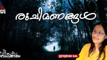 vacation memories a UGC series on Summer vacation in kerala by Indulekha K vacation memories a UGC series on Summer vacation in kerala by Indulekha K