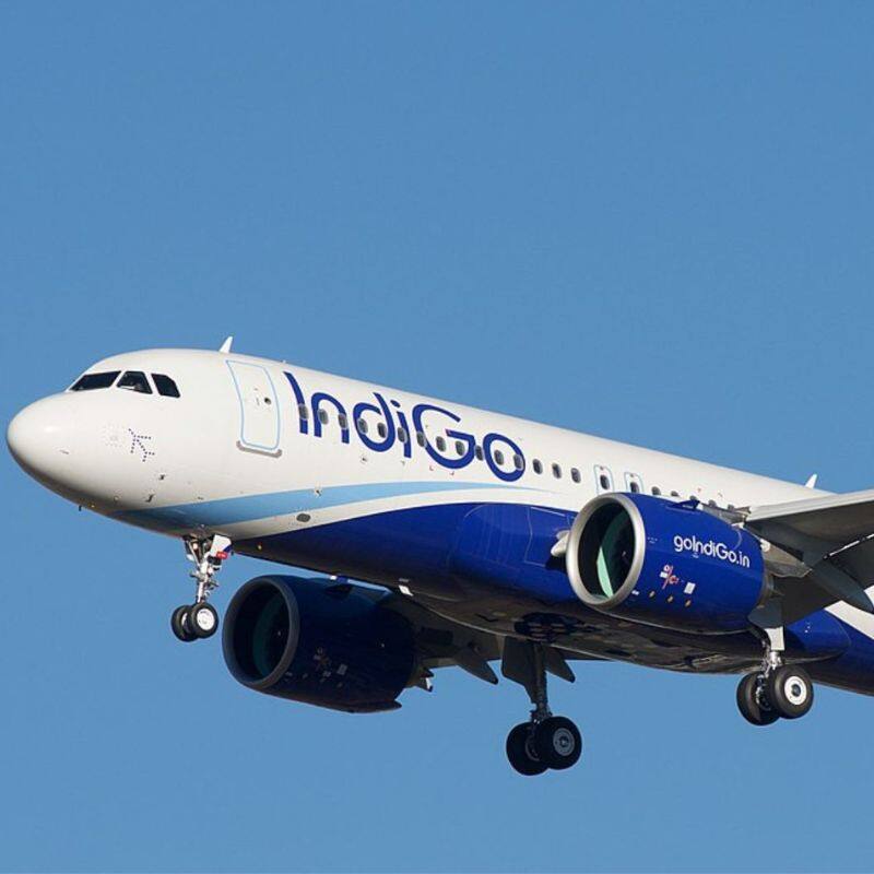 IndiGo flight: వ‌డ‌గ‌ళ్ల వానతో ఇండిగో విమానం ధ్వంసం.. వ‌ణికిపోయిన ప్ర‌యాణికులు.. వీడియో