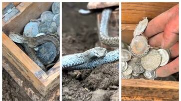 treasure was found in the metal detector Video viral treasure was found in the metal detector Video viral