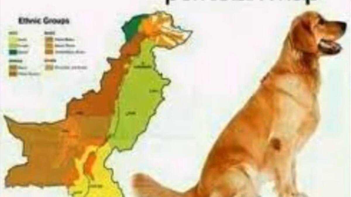 Pakistan map 