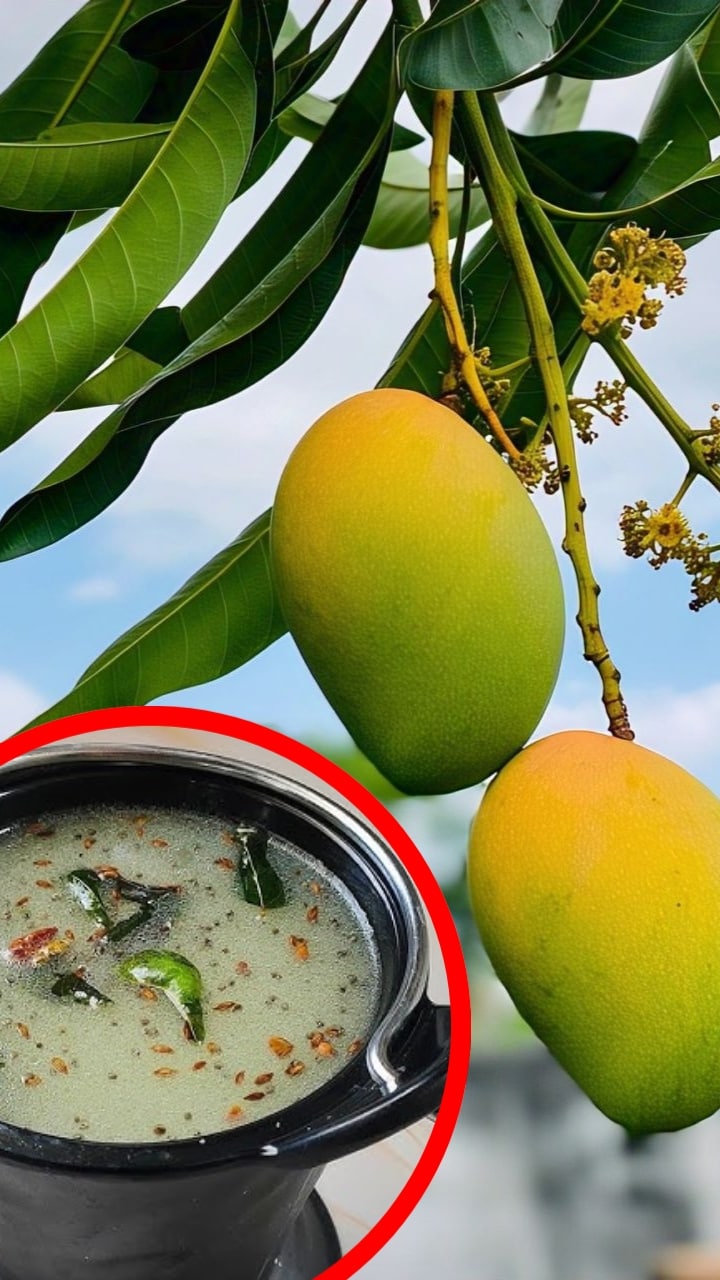 mango appe huli recipe in kannada simple way