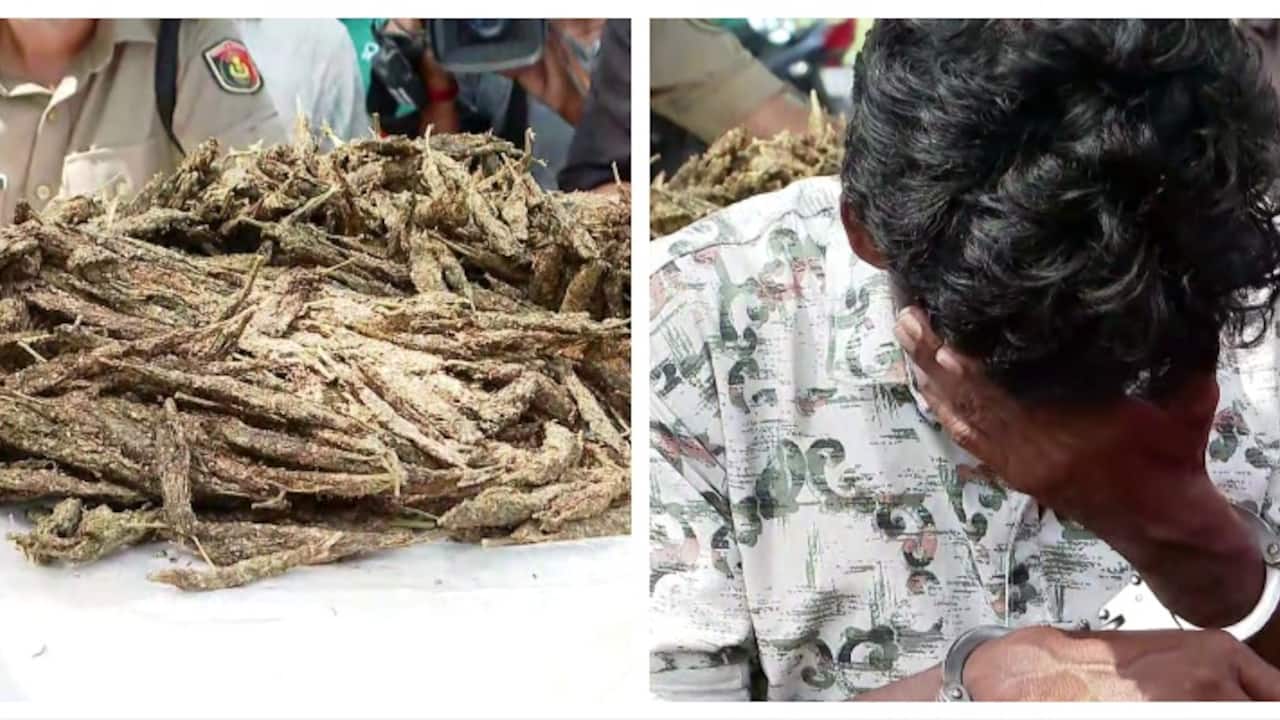 ഹോട്ടൽ ജോലിക്കാരനായ രാജേഷ് എത്തിയത് ഓട്ടോയിൽ, 'ഒറിയൻ സ്പെഷ്യൽ' 5കിലോ വരുന്നുവെന്ന് രഹസ്യ വിവരം; ഒടുവിൽ പിടിയിൽ