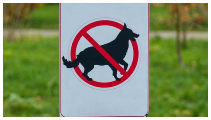 Dont know these rules You shouldnt ignore these things when raising a dog