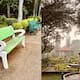 Who Makes These Rules Bengalurean Questions Cubbon Parks Strict New Regulations sat
