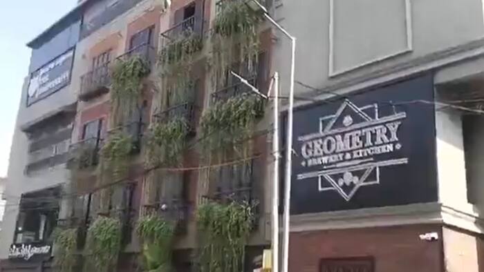 Geometry Pub