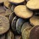man finds 1469 ancient roman silver coins worth over 50 lakh during nature walk