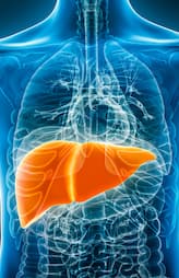 types of liver diseases you should know 
