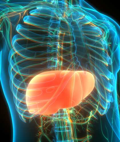 Liver: గుర్తించేలోపే ప్రాణాలకు ముప్పు..ఈ లక్షణాలుంటే నిర్లక్ష్యం వద్దు
