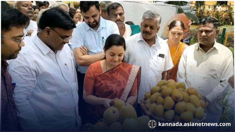 ಧಾರವಾಡದಲ್ಲಿ 7 ಕೋಟಿ ವೆಚ್ಚದಲ್ಲಿ ಮಾವು ಅಭಿವೃದ್ಧಿ ಕೇಂದ್ರ ಸ್ಥಾಪನೆ