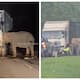 Mother Elephant in tears stands beside baby killed by truck video viral 