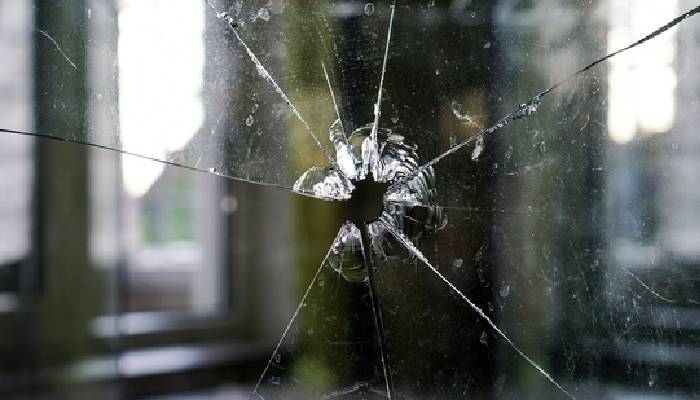 woman who survived cancer four times died by stray bullet in her own home