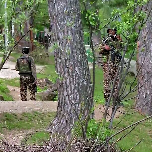 India's terror crackdown continues: 3 Jaish terrorists killed in J&K's Tral encounter