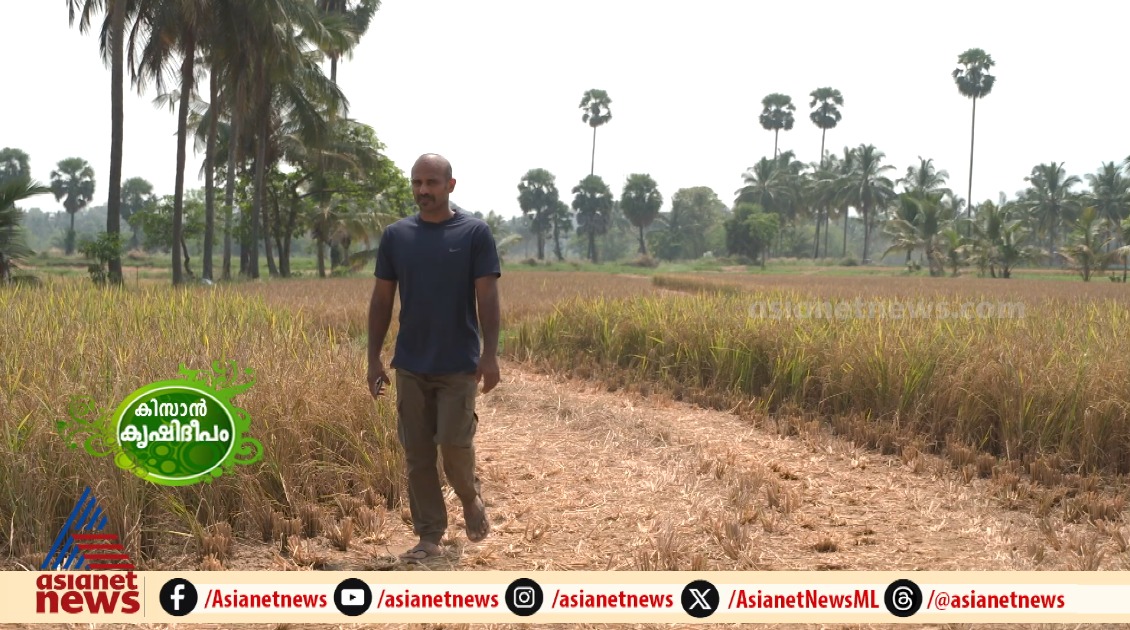 ഐടി മേഖലയിലെ ജോലി ഉപേക്ഷിച്ച് കൃഷിയിലേക്ക് കടന്ന ന്യൂജെൻ കർഷകൻ