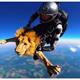 video of a lion skydiving goes viral on social media