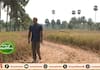  quits IT job and enters farming