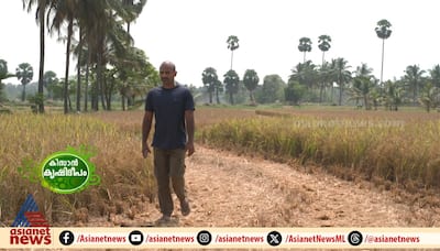  quits IT job and enters farming