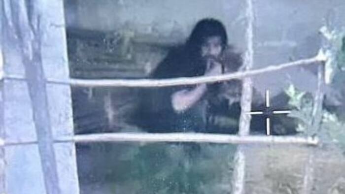 Terrorist enounter