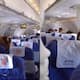 dog in  Beijing to Tokyo flight heartwarming video 
