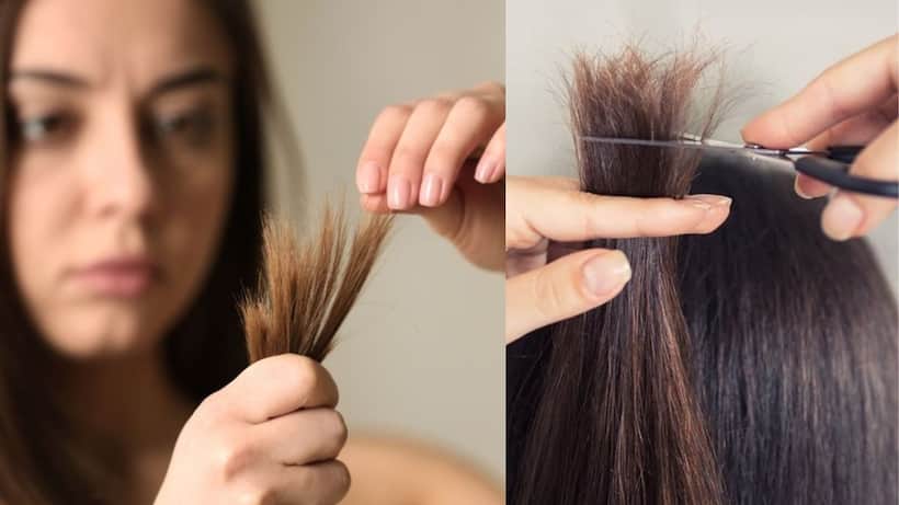 Hair Care Tips 