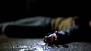 ‘He resembled my uncle’: Indian man stabs fellow Indian passenger to death on moving bus in Texas