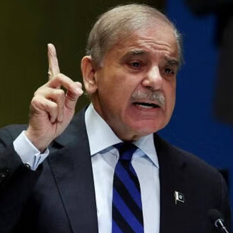 No more 'begging bowl': Shehbaz Sharif says China, Turkey see Pakistan as equal amid IMF bailout (WATCH)