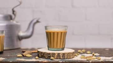 International Tea Day 2025 different types of teas to drink during the rainy season International Tea Day 2025 different types of teas to drink during the rainy season