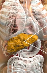 What are the symptoms of fatty liver disease