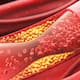 Foods That Increase Cholesterol Levels in Telugu sns