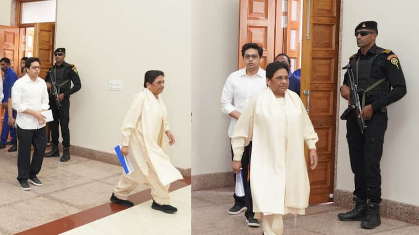 bsp mayawati akash anand returns as national coordinator leadership update 