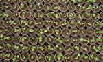 8 Ways to Preserve Vegetable Seeds in telugu KVG